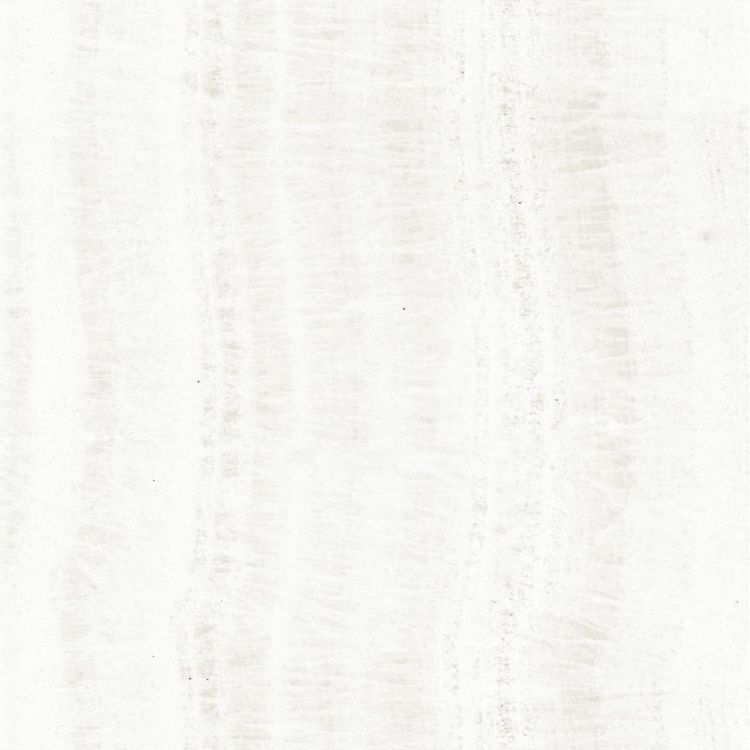OL Onyx White Matte 24 x 24